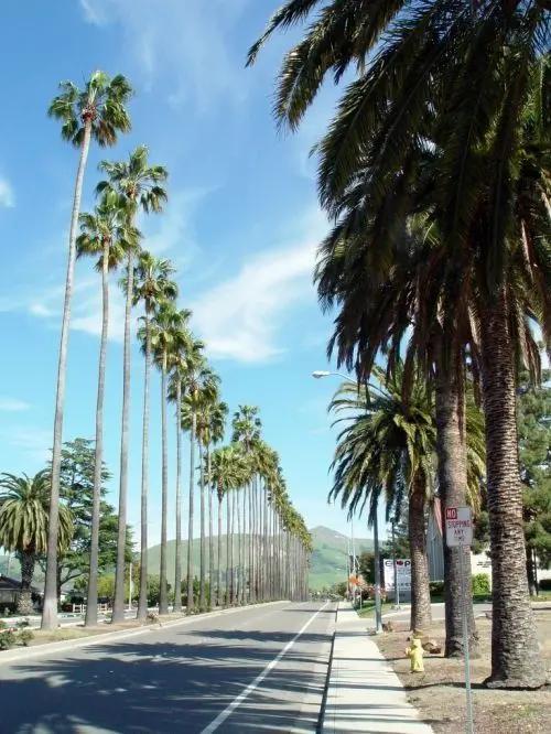 The best neighborhoods in Fremont