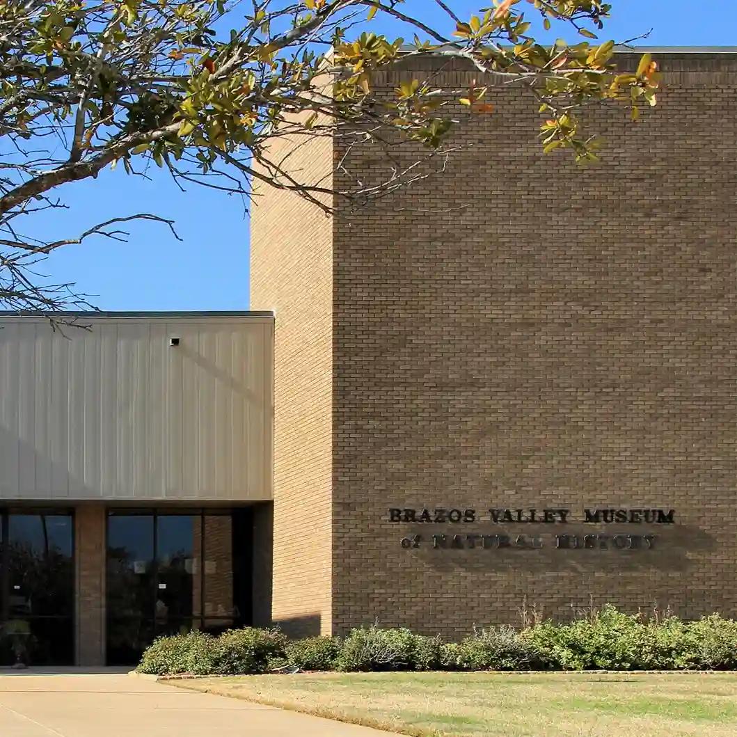 The Brazos Valley Museum of Natural History SVL