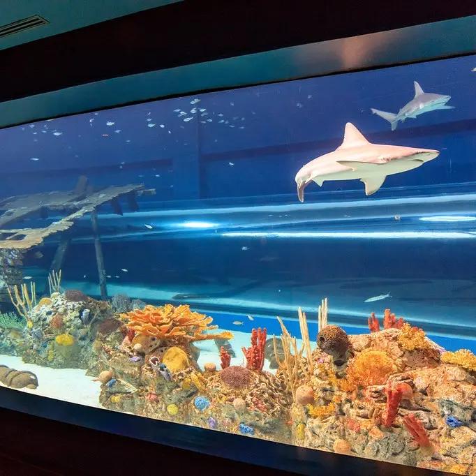 Texas State Aquarium Corpus Christie