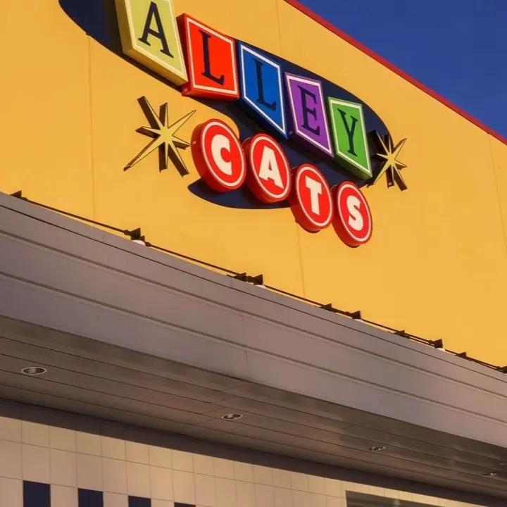 Alley Cats Entertainment SVL