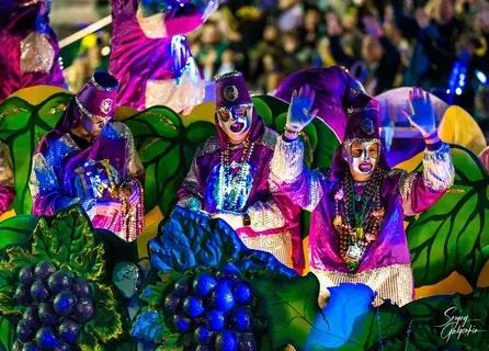 Community Events SVL