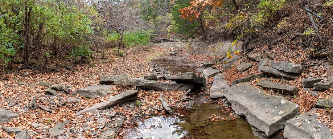 Olathe Prairie Center SVL