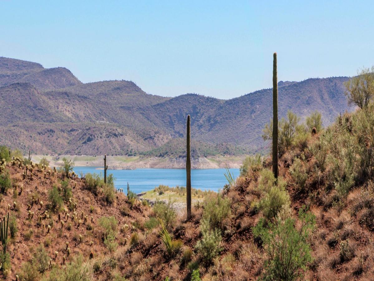 Movers in Peoria, AZ
