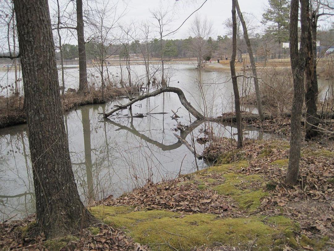 Craighead Forest Park SVL