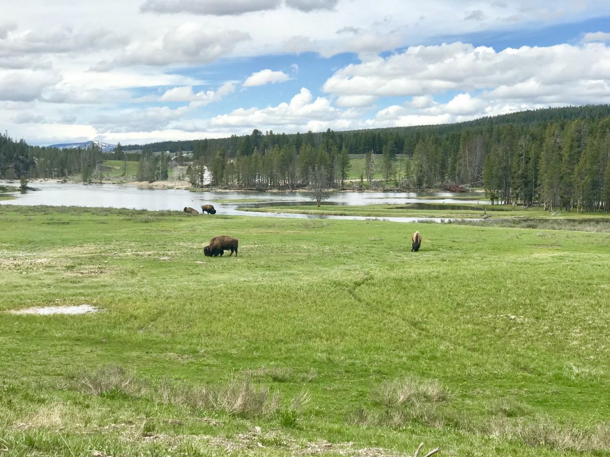 Nationwide Moving Guides For Anywhere in America SVL