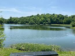 Florence Nature Park SVL