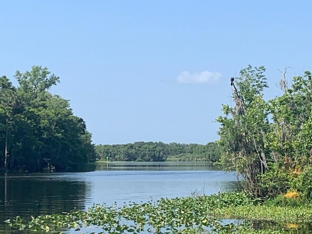 Blue Springs Lake Marina SVL