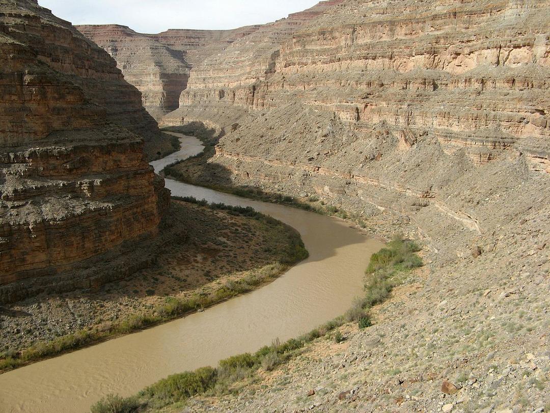 San Juan River SVL