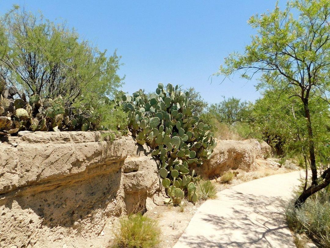 Living Desert Zoo and Gardens SVL