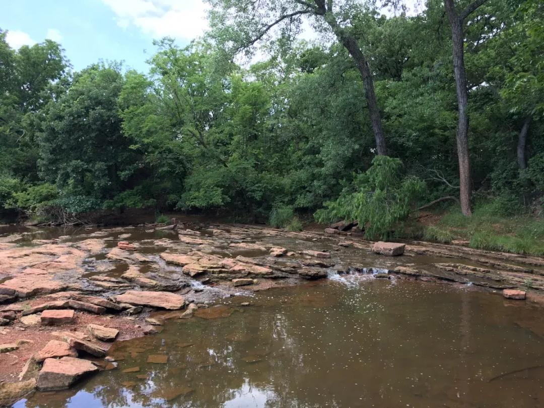 Buck Thomas Park SVL