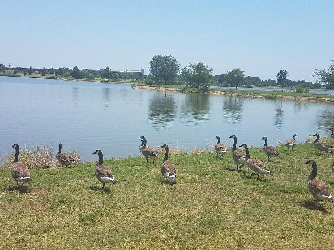 Boomer Lake Park SVL