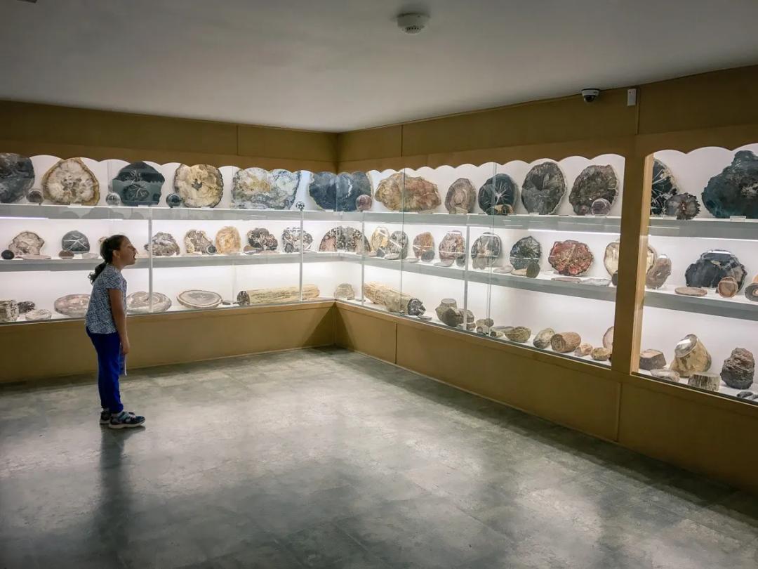 Rice Northwest Museum of Rocks and Minerals SVL