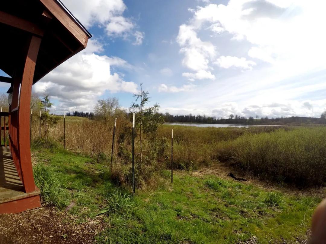 Jackson Bottom Wetlands Preserve SVL