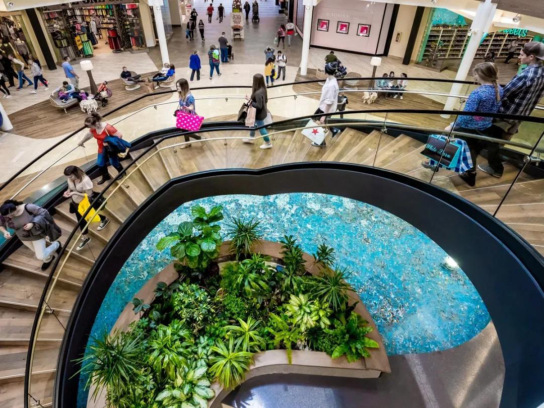 Shopping and Dining Experience SVL