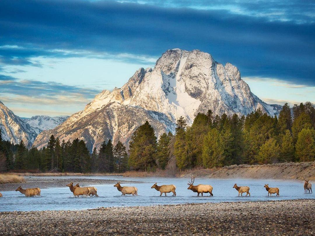 Wildlife Safari and Photography Retreat SVL