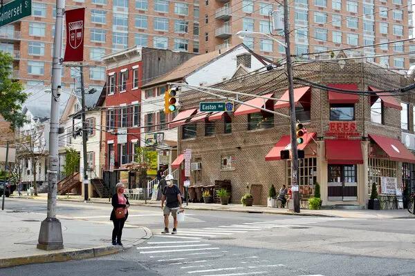 New Jersey flag icon