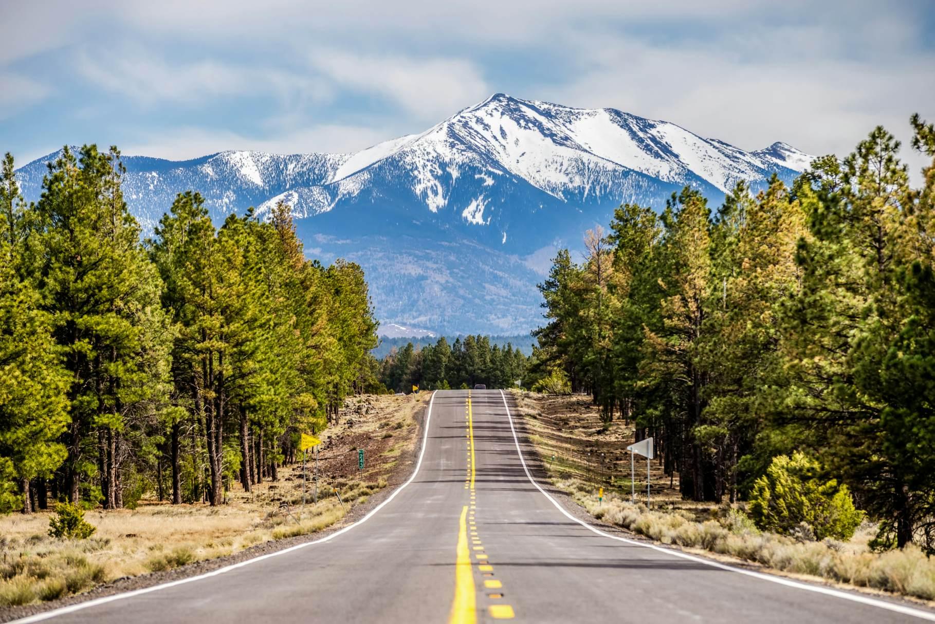 Movers in Flagstaff